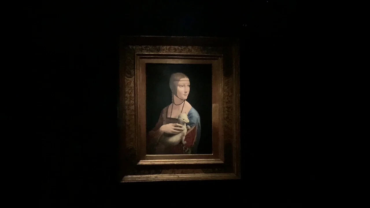 Kraków museum exhibits and collections