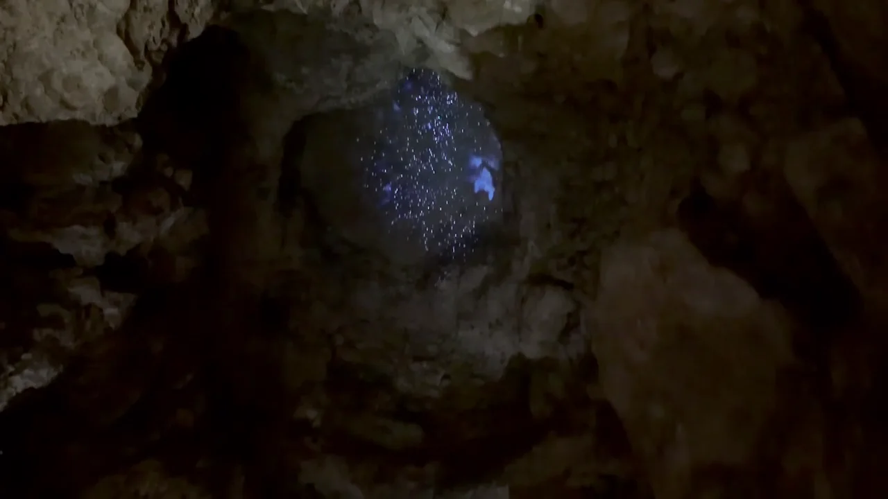 Dragon’s Den cave beneath Wawel