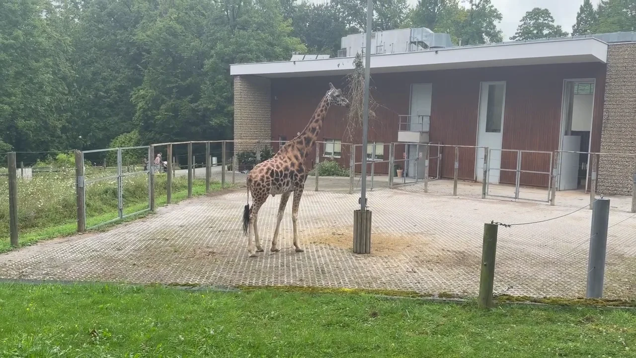 Kraków Zoo in Las Wolski