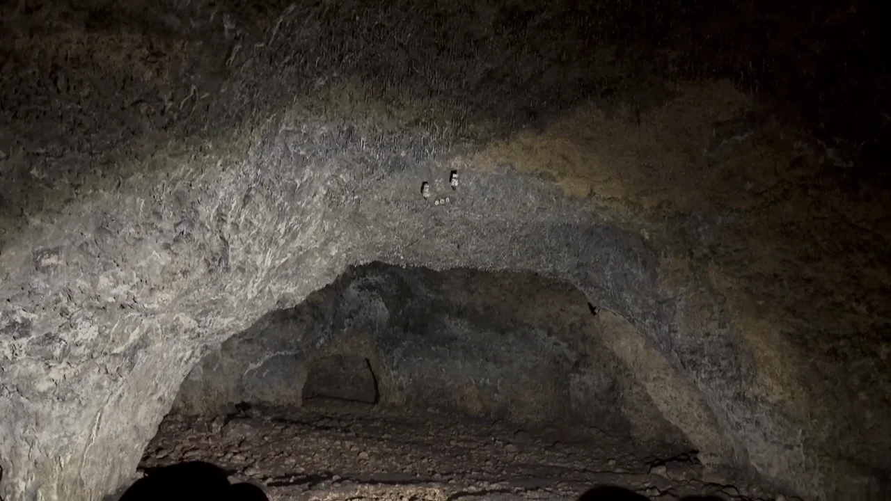 Dark Cave in Ojców National Park