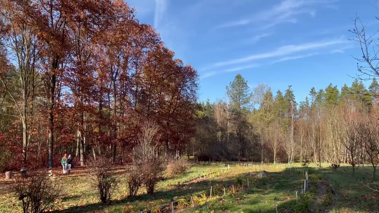 Autumn landscape at Rogów Arboretum