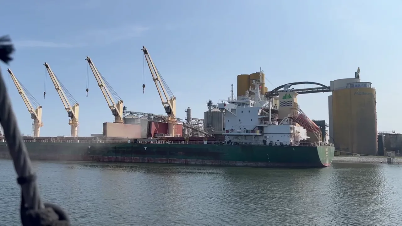 Cargo ship and shipyard cranes on the Baltic coast in Gdańsk