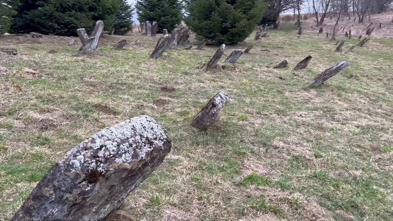 Weathered gravestones in the Jewish cemetery at Lutowiska.