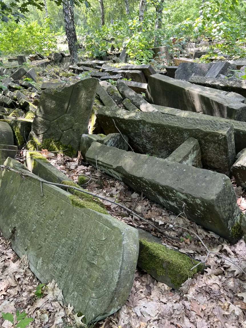 Original photograph at Bródno Jewish Cemetery: Displaced gravestones lying among leaves