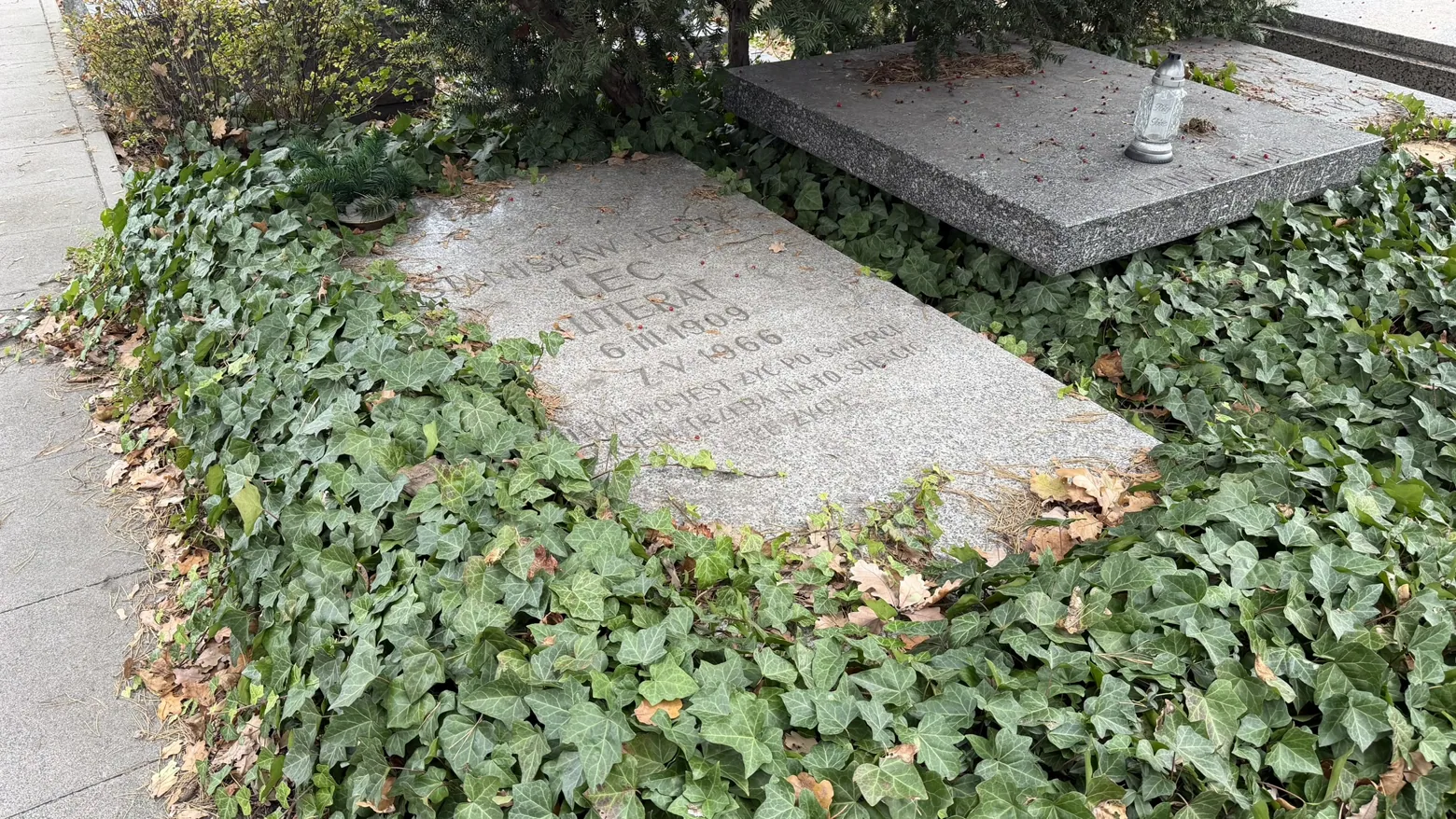 The ivy-framed grave of writer Stanisław Jerzy Lec.
