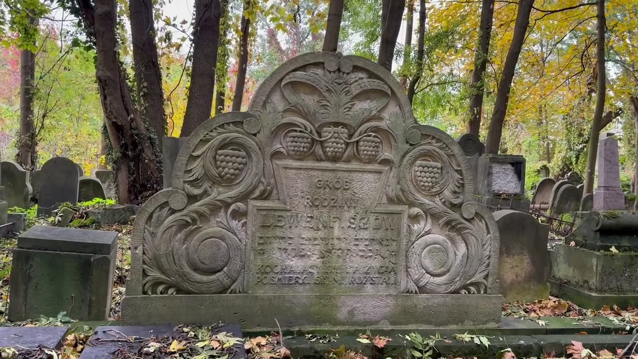 Weathered gravestones among trees and foliage within the Jewish Cemetery on Okopowa