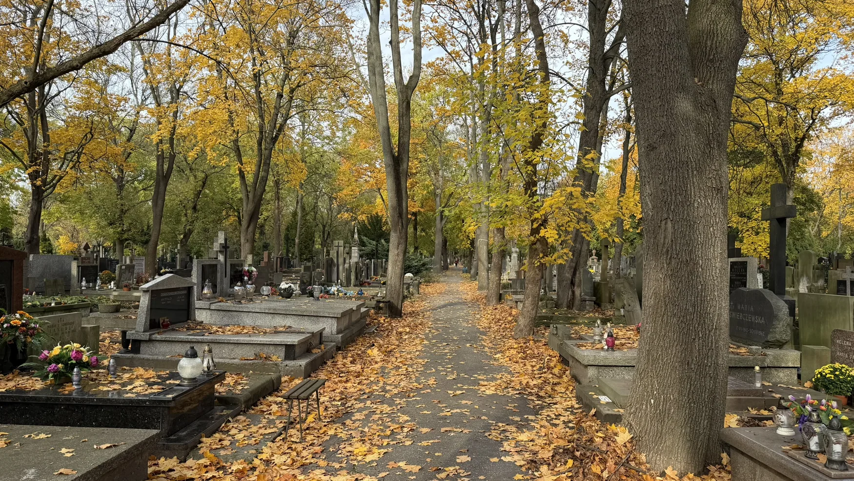Autumn trees, historical tombs and quiet avenues at Old Powązki Cemetery