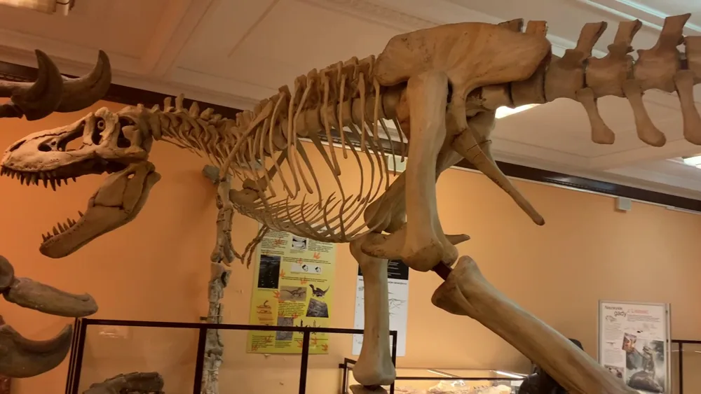 Original Brit in Poland photograph: Museum of Evolution