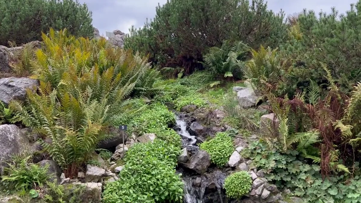 Original Brit in Poland photograph: PAN Botanical Garden, Powsin