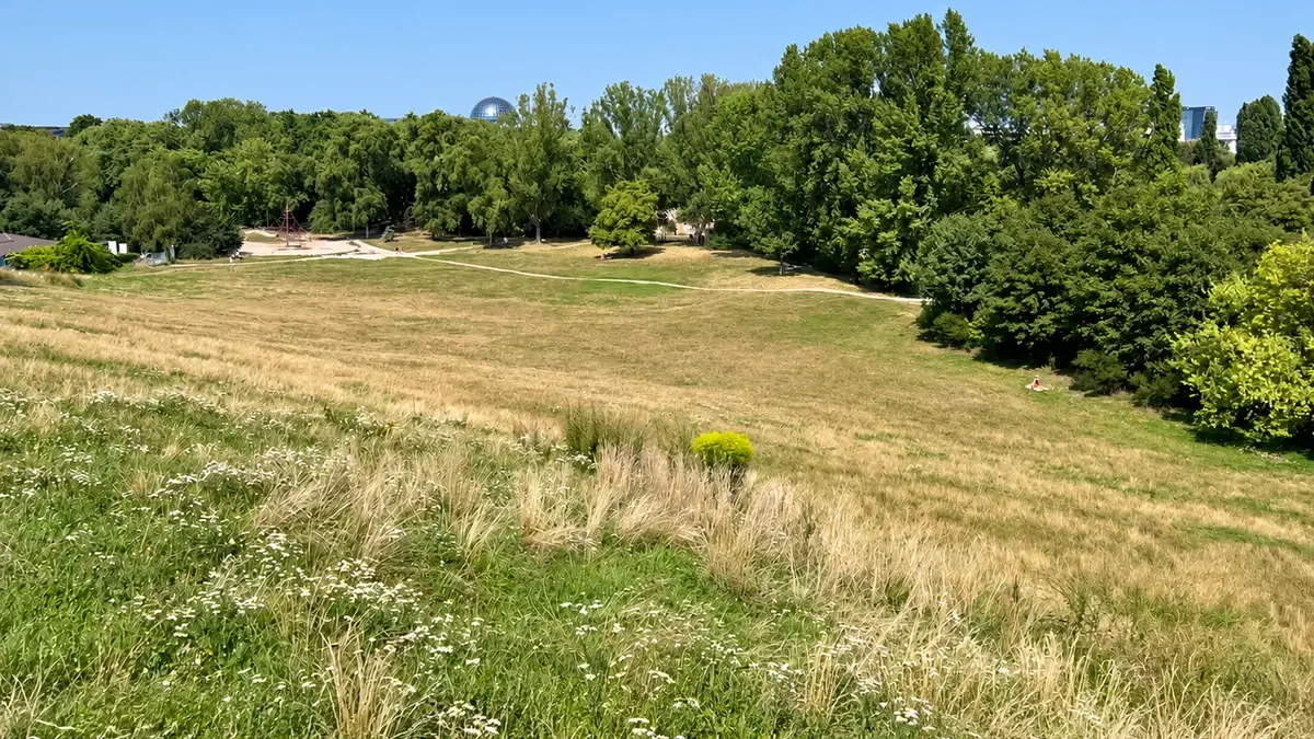 Original Brit in Poland photograph: Szczęśliwice Park and Hill