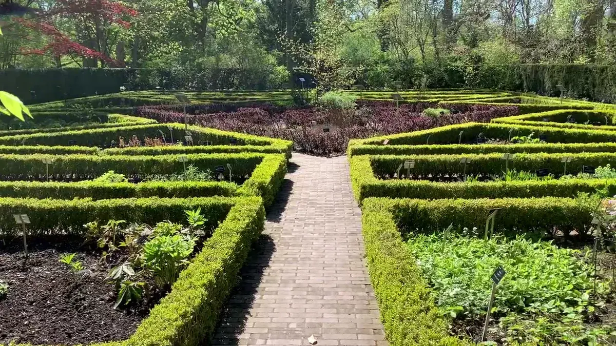 Original Brit in Poland photograph: University of Warsaw Botanic Garden