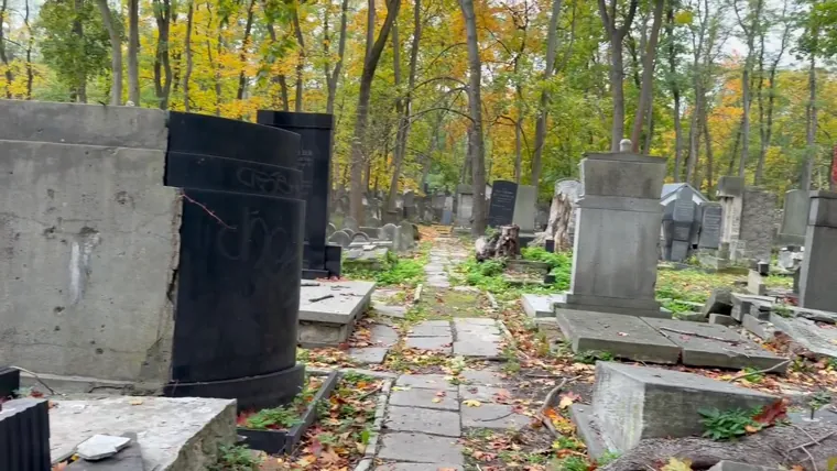 Paths through the Jewish cemetery on Okopowa Street