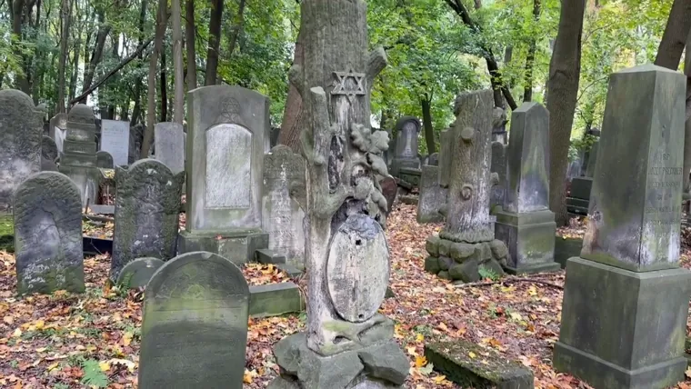 Gravestones in the Jewish cemetery on Okopowa Street
