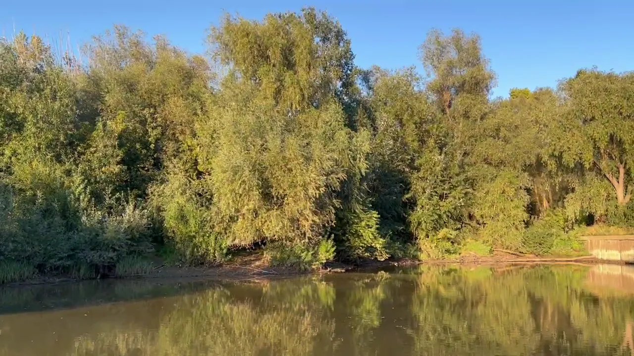 Green trees and natural waterway in the Warsaw Vistula river area