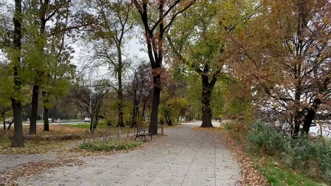 Quiet riverside walking path lined by trees in autumn